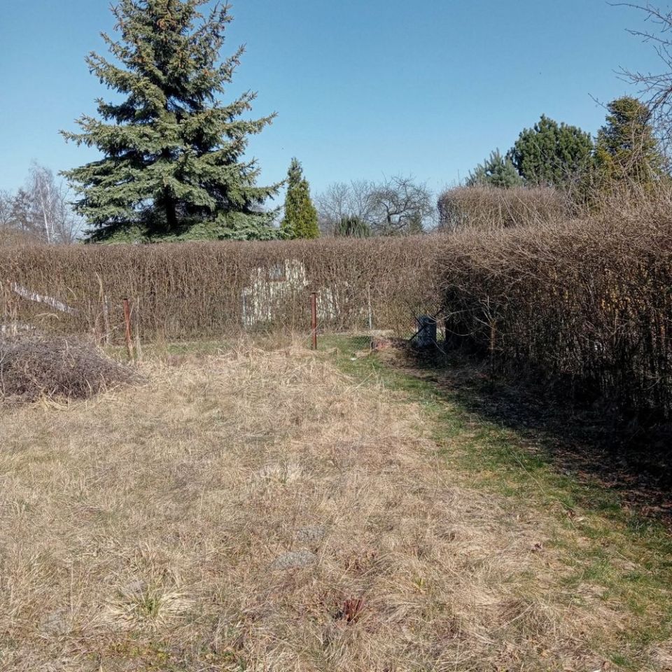 Działka rod Gliwice Stare Gliwice, ul. Kozłowska. Zdjęcie 2