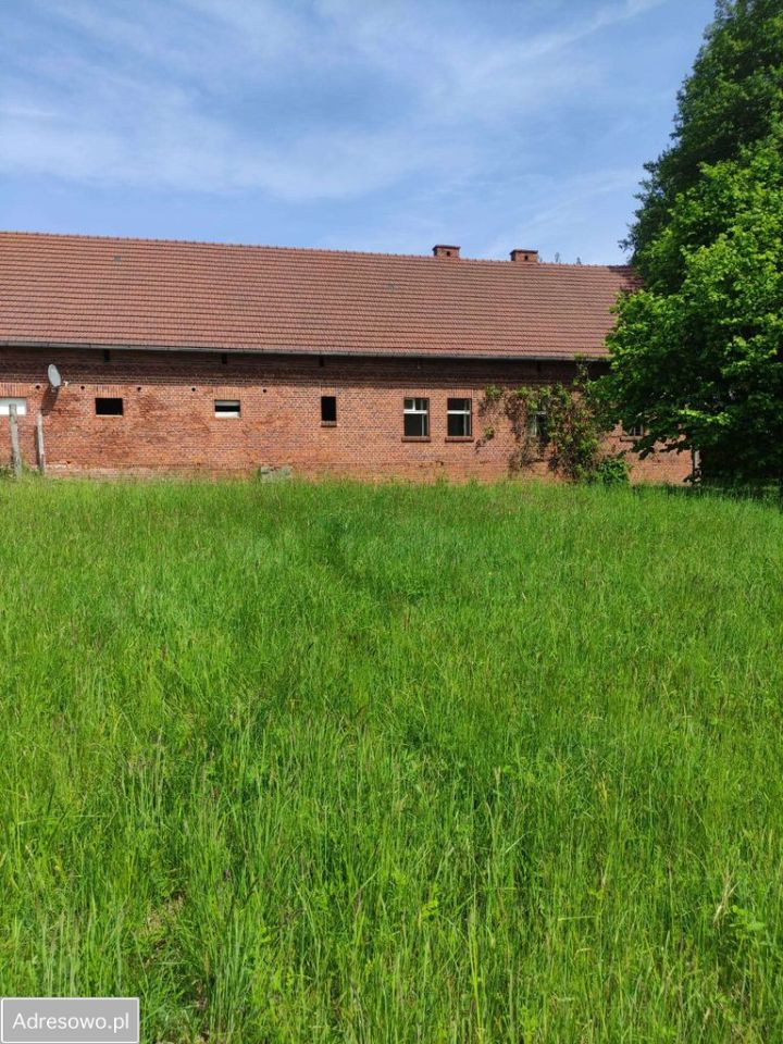 Działka rolna Osiecko. Zdjęcie 5