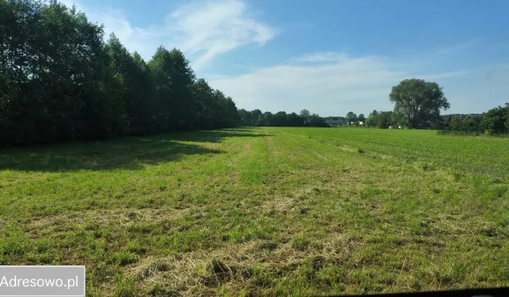 Działka inwestycyjna Rozgarty, ul. Wesoła