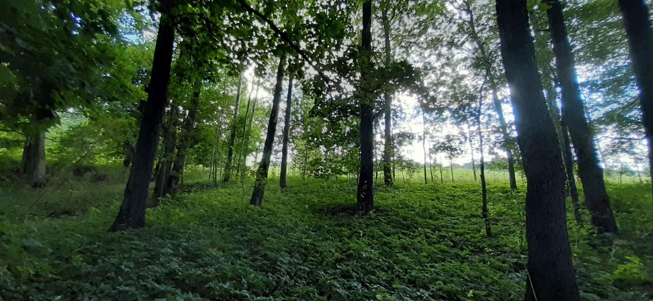 Działka rekreacyjna Boćwinka. Zdjęcie 9
