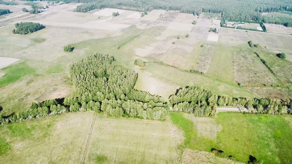 Działka rolno-budowlana Serski Las. Zdjęcie 7