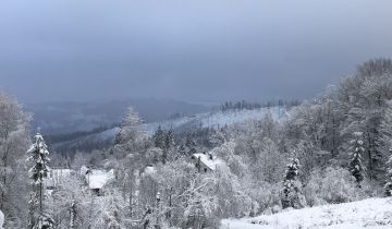 dom wolnostojący, 6 pokoi Kamesznica