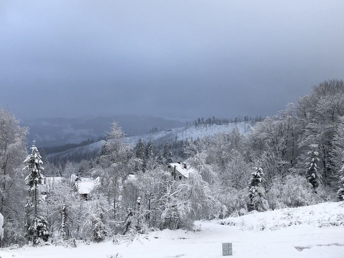 dom wolnostojący, 6 pokoi Kamesznica, ul. Kolonia Wojtasówka. Zdjęcie 2