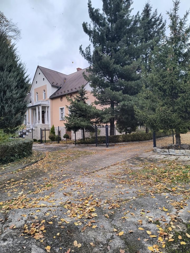 dom wolnostojący, 11 pokoi Kotla, ul. Głogowska. Zdjęcie 21