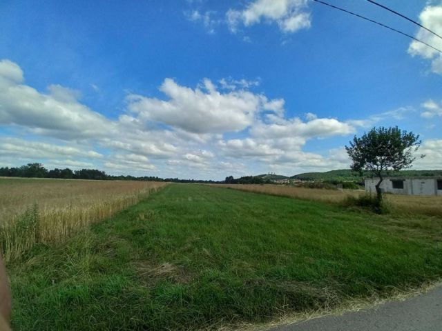 Działka rolno-budowlana Skiby. Zdjęcie 1