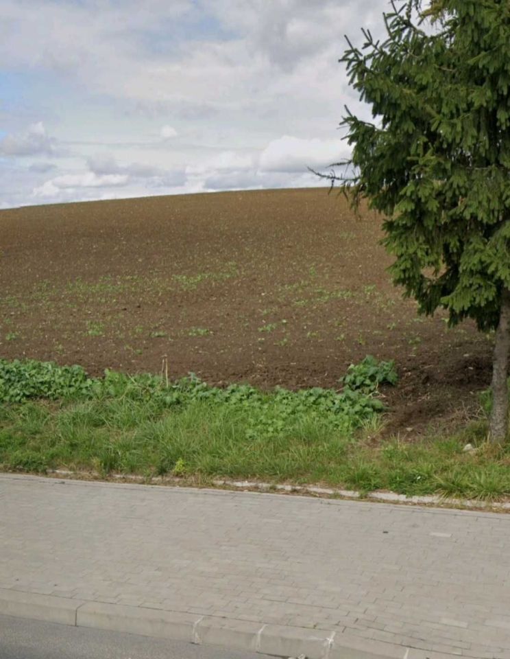 Działka rolna Cepno. Zdjęcie 5