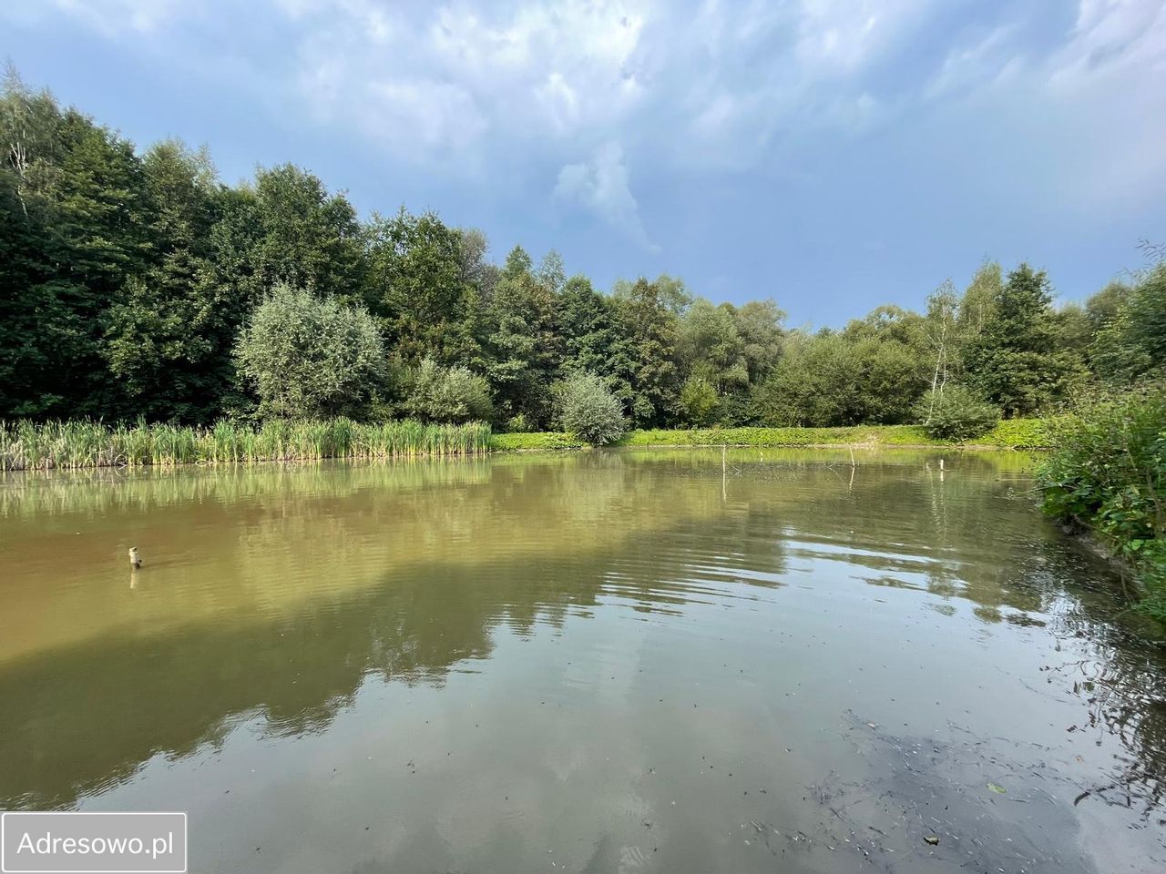 dom wolnostojący, 4 pokoje Witanowice, ul. Zagórze. Zdjęcie 16