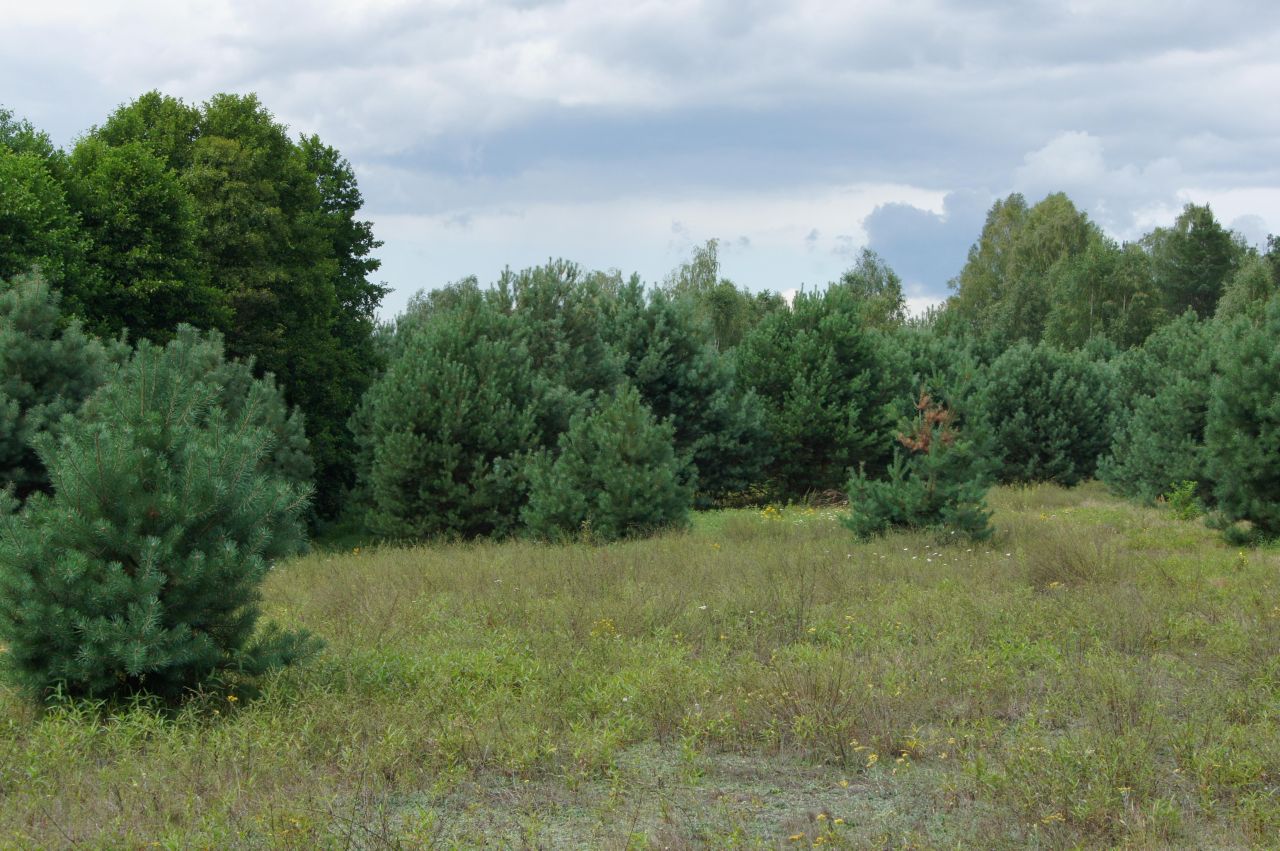Działka budowlana Nagodów. Zdjęcie 8