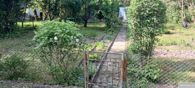 Działka rod Kielce, ul. Bohaterów Warszawy. Zdjęcie 1