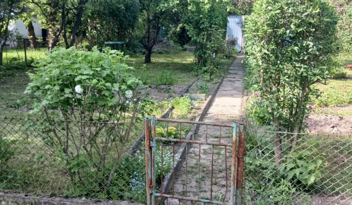Działka rod Kielce, ul. Bohaterów Warszawy