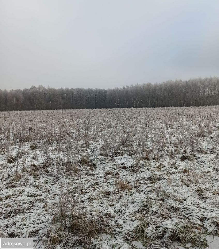 Działka rolna Żuków. Zdjęcie 6