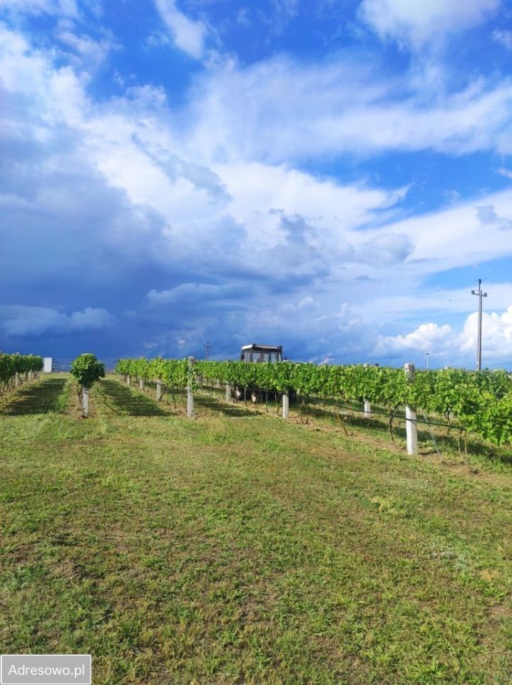 dom wolnostojący Okalew. Zdjęcie 14