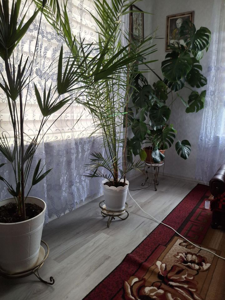 Działka siedliskowa Mulawicze. Zdjęcie 12