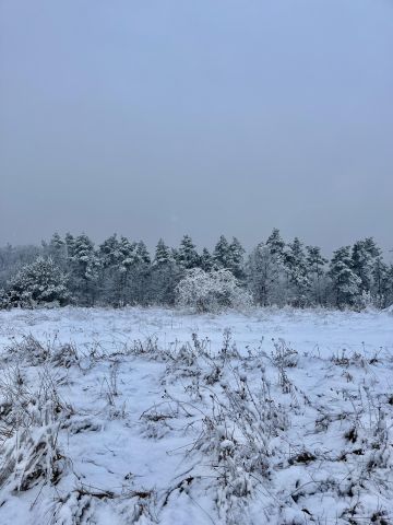 Działka budowlana Świebodzice, ul. Zimny Dwór. Zdjęcie 1
