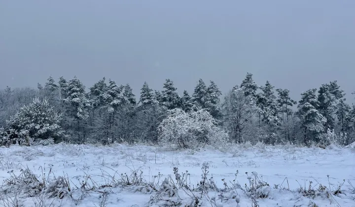 Działka budowlana Świebodzice, ul. Zimny Dwór