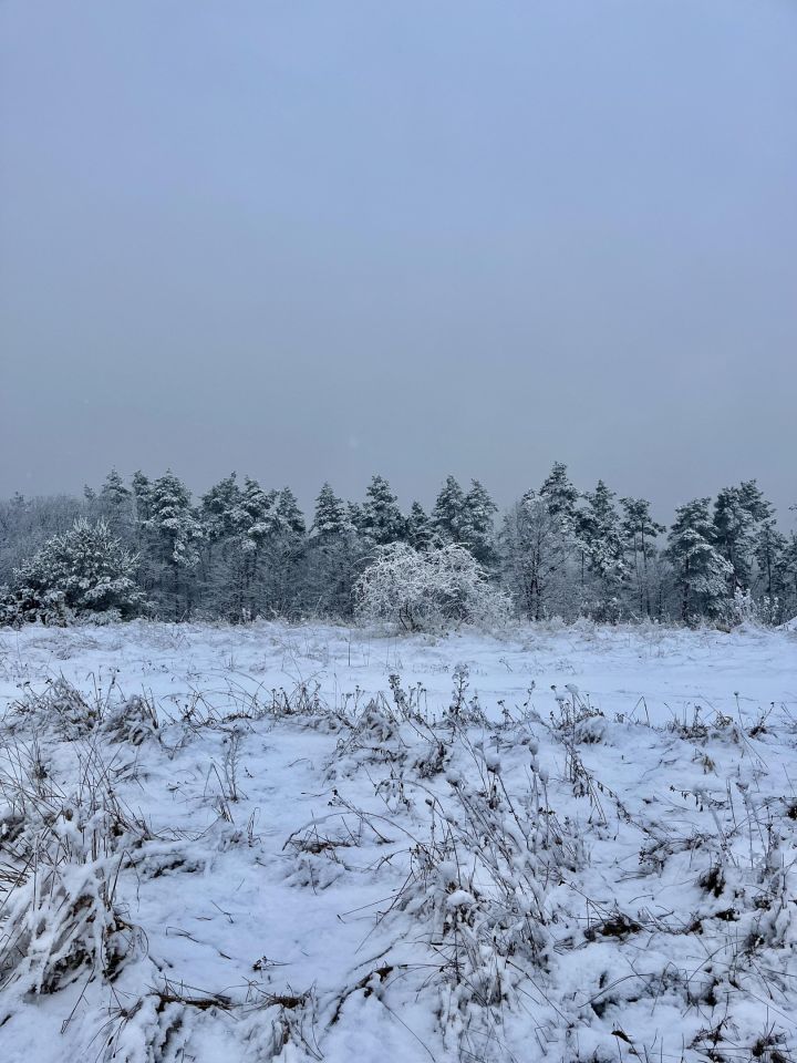 Działka budowlana Świebodzice, ul. Zimny Dwór. Zdjęcie 1