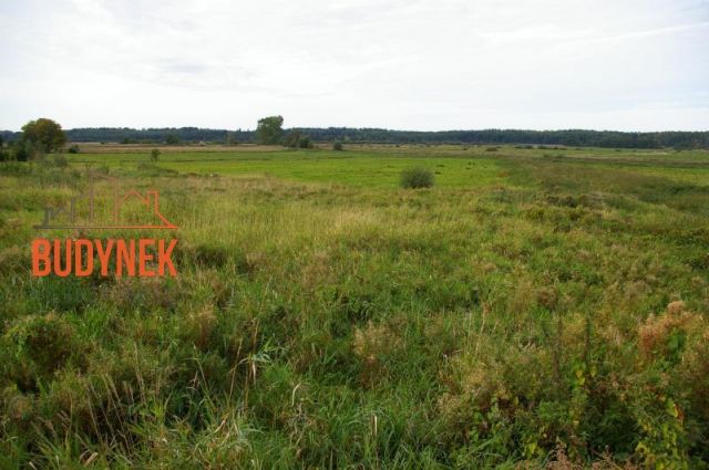 Działka budowlana Pęciszewko, Pęciszewko (Porzecze). Zdjęcie 7