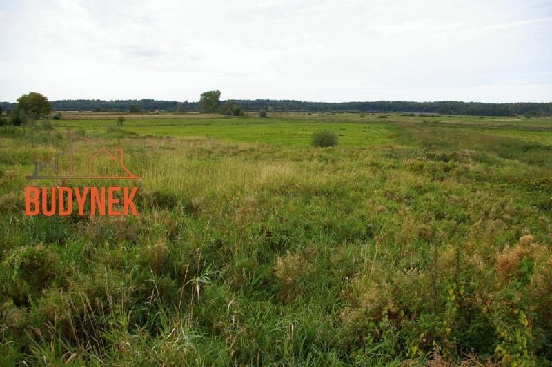 Działka budowlana Pęciszewko, Pęciszewko (Porzecze). Zdjęcie 7