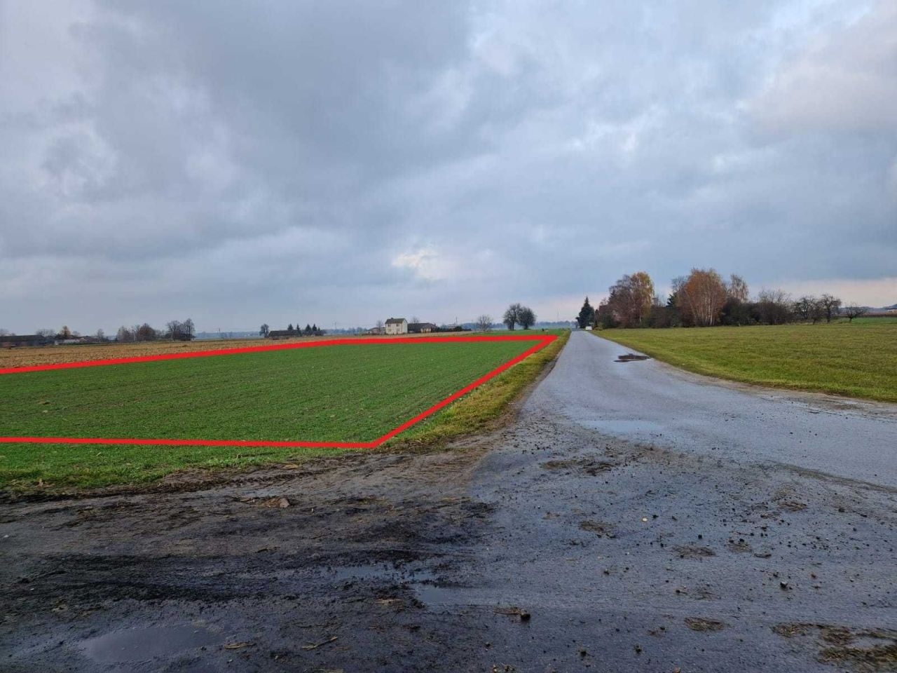 Działka budowlana Grodzisk. Zdjęcie 1