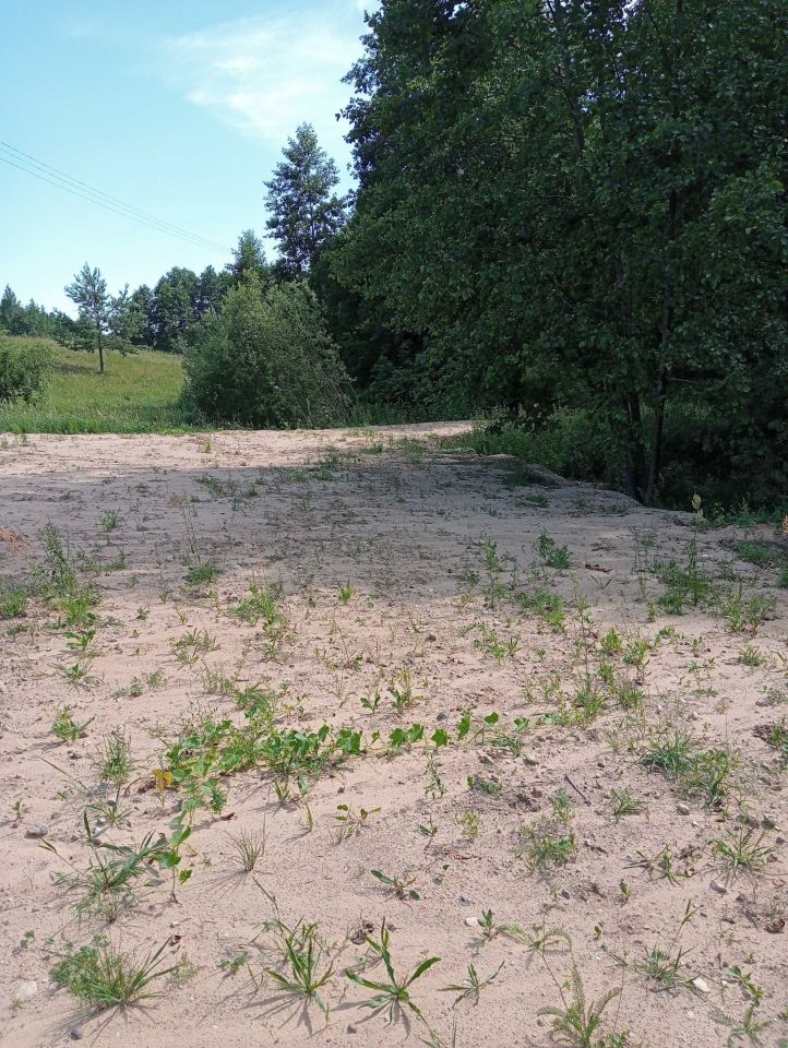 Działka rolno-budowlana Dubowo. Zdjęcie 7