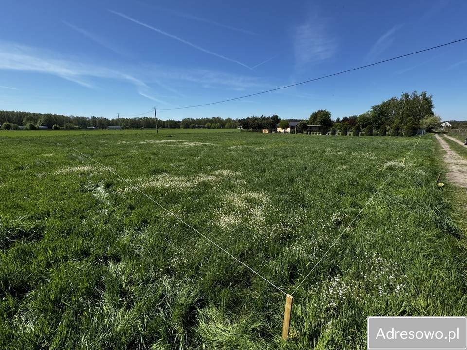 Działka budowlana Wilków. Zdjęcie 2
