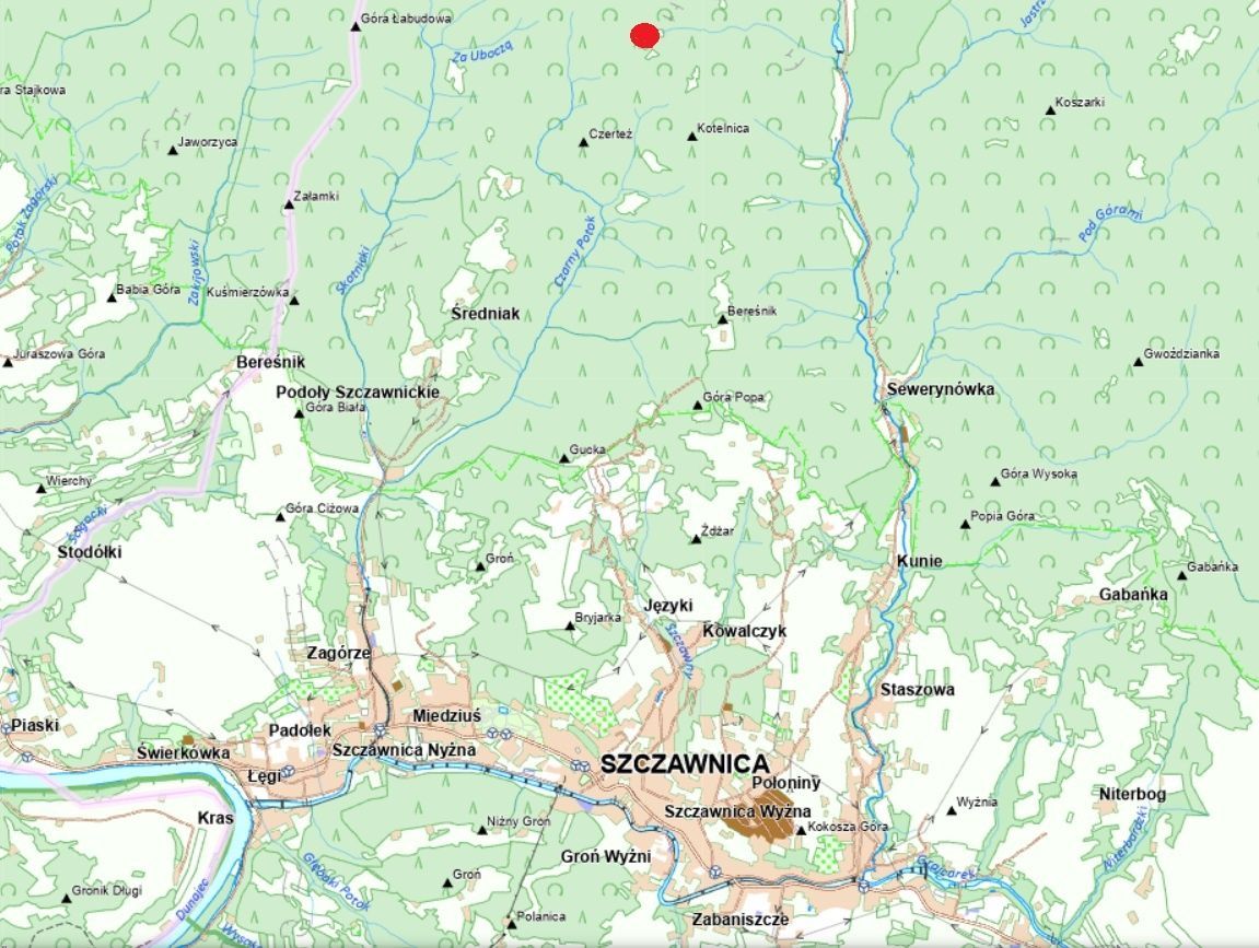 Działka leśna Szczawnica. Zdjęcie 2