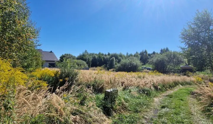 Działka budowlana Głuchołazy