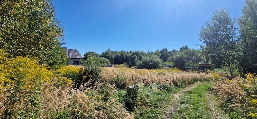 Działka budowlana Głuchołazy