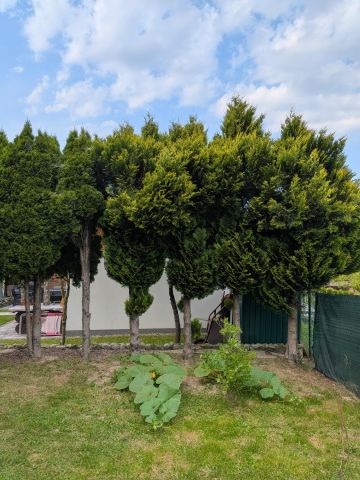 Działka rod Nowy Sącz Falkowa, ul. Botaniczna. Zdjęcie 18