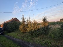 dom wolnostojący Mazew. Zdjęcie 4