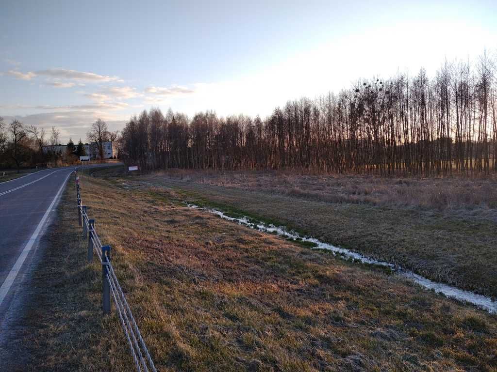 Działka rolna Horyszów. Zdjęcie 3