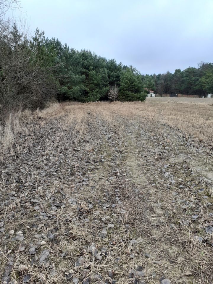 Działka budowlana Seroki-Wieś. Zdjęcie 5