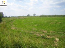 Działka budowlana Wielochowo. Zdjęcie 2