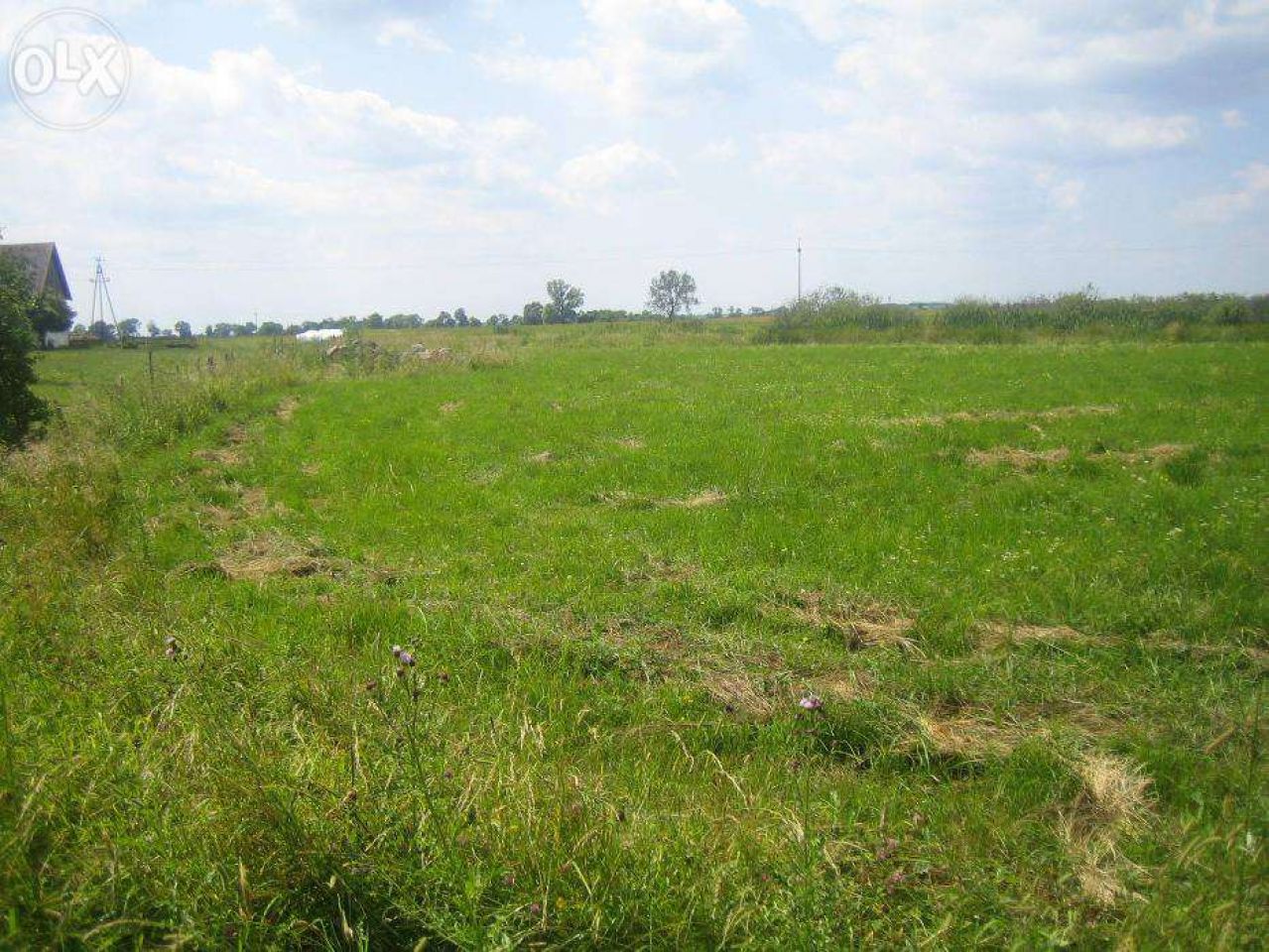 Działka budowlana Wielochowo. Zdjęcie 3