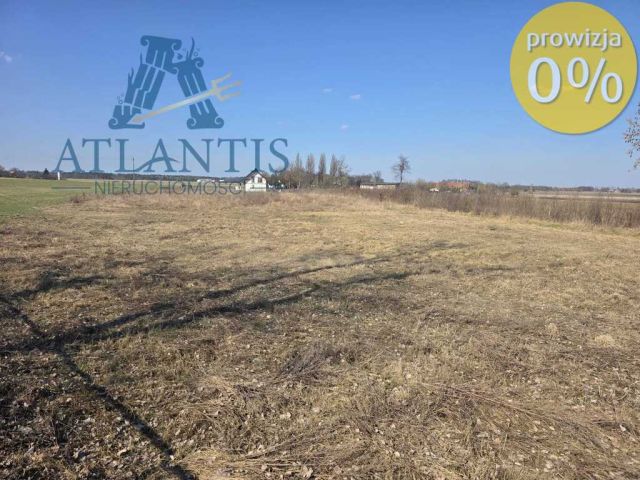 Działka budowlana Jadwigowo. Zdjęcie 1