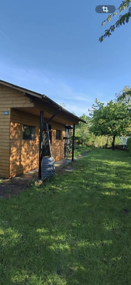 Działka rod Gdańsk Olszynka, ul. Olszyńska. Zdjęcie 9