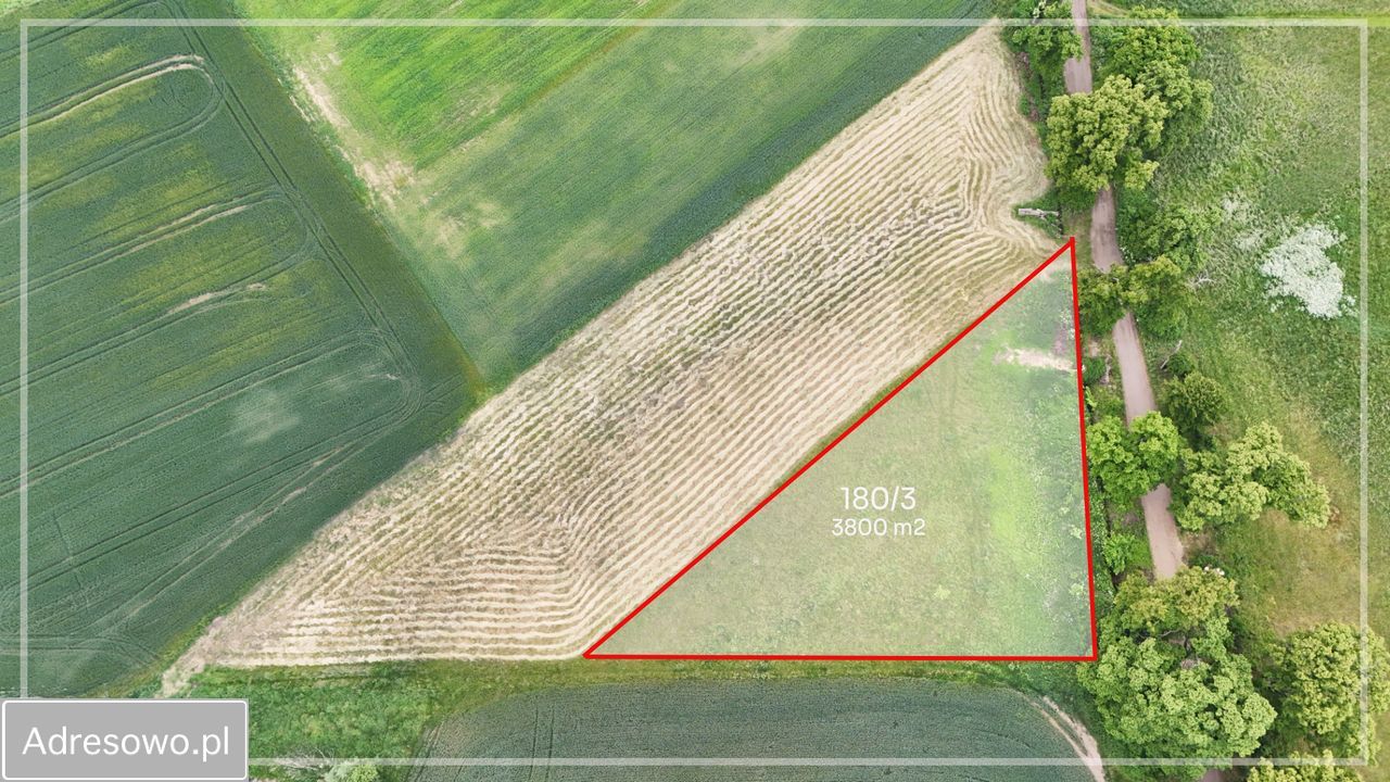 Działka rolno-budowlana Głazów. Zdjęcie 2