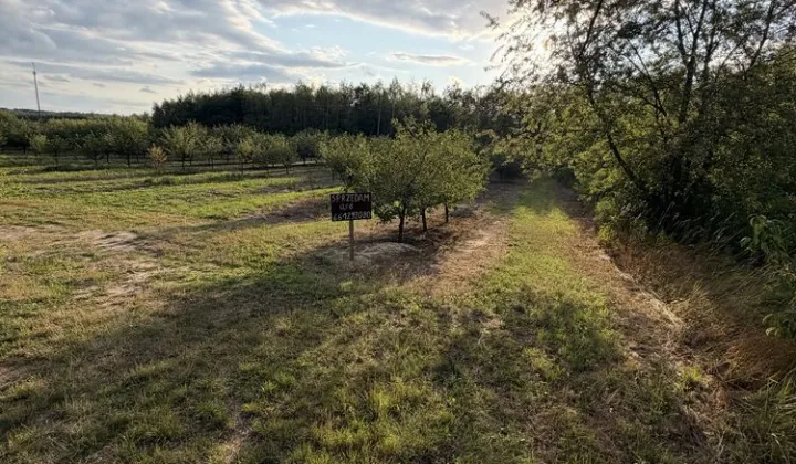 Działka rolna Koprzywnica