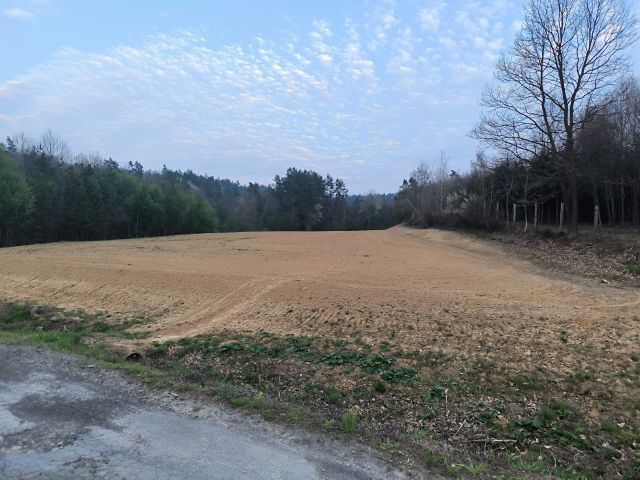 Działka budowlana Wołodź. Zdjęcie 1