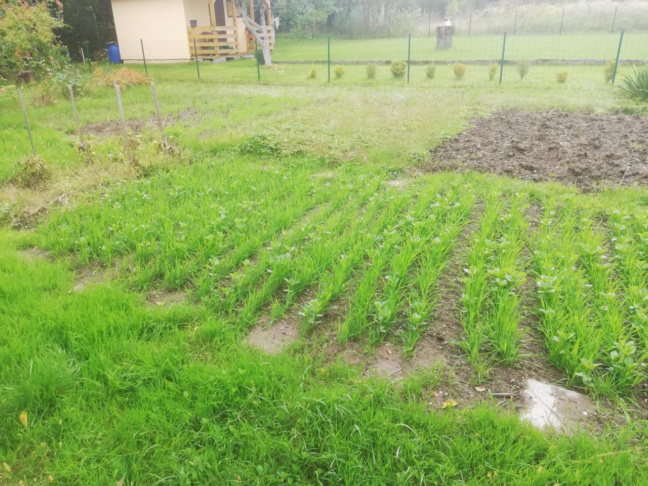 Działka rod Bolesławiec Centrum, ul. Tadeusza Kościuszki. Zdjęcie 3