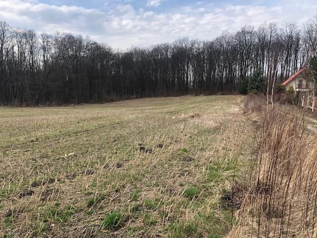 Działka budowlana Racławówka. Zdjęcie 4