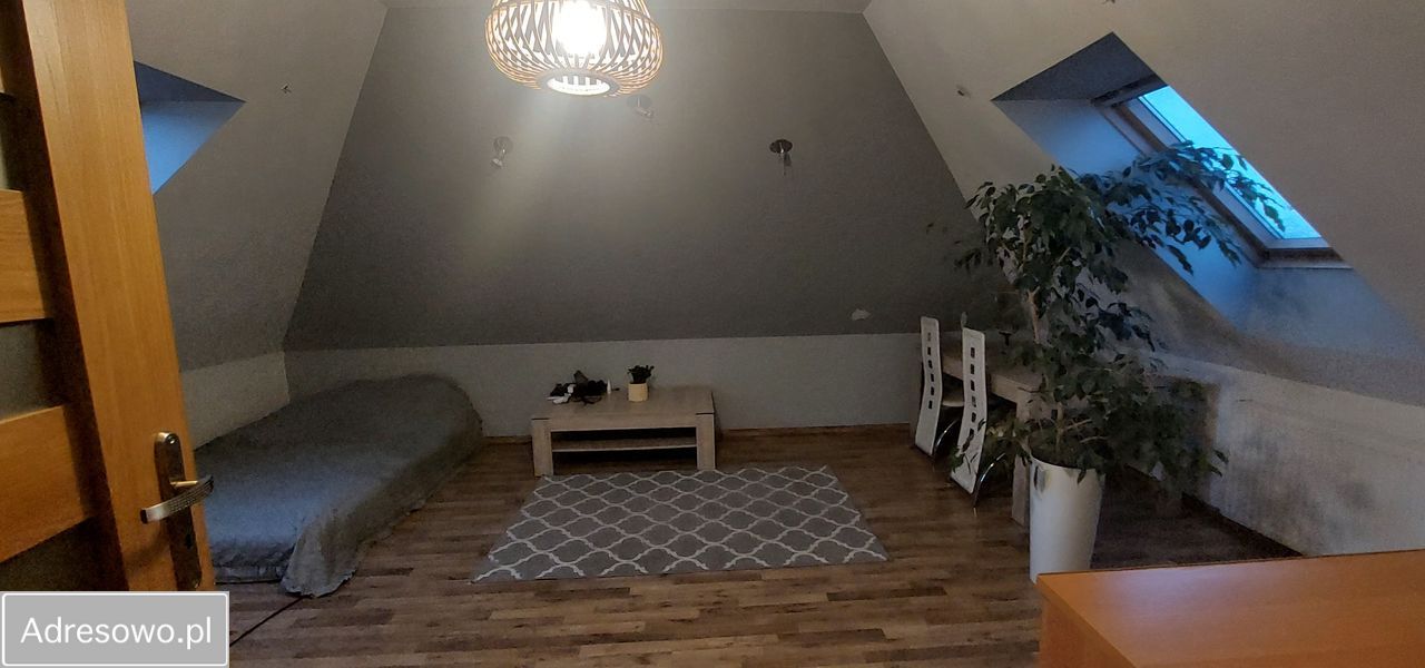 dom wolnostojący, 5 pokoi Płouszowice-Kolonia. Zdjęcie 2