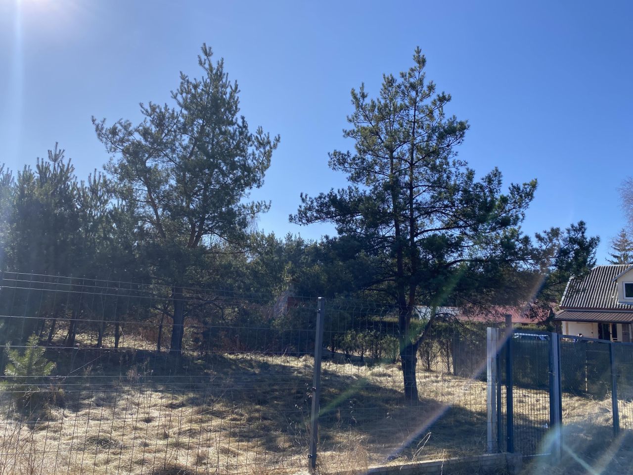 Działka budowlana Kaliska. Zdjęcie 5