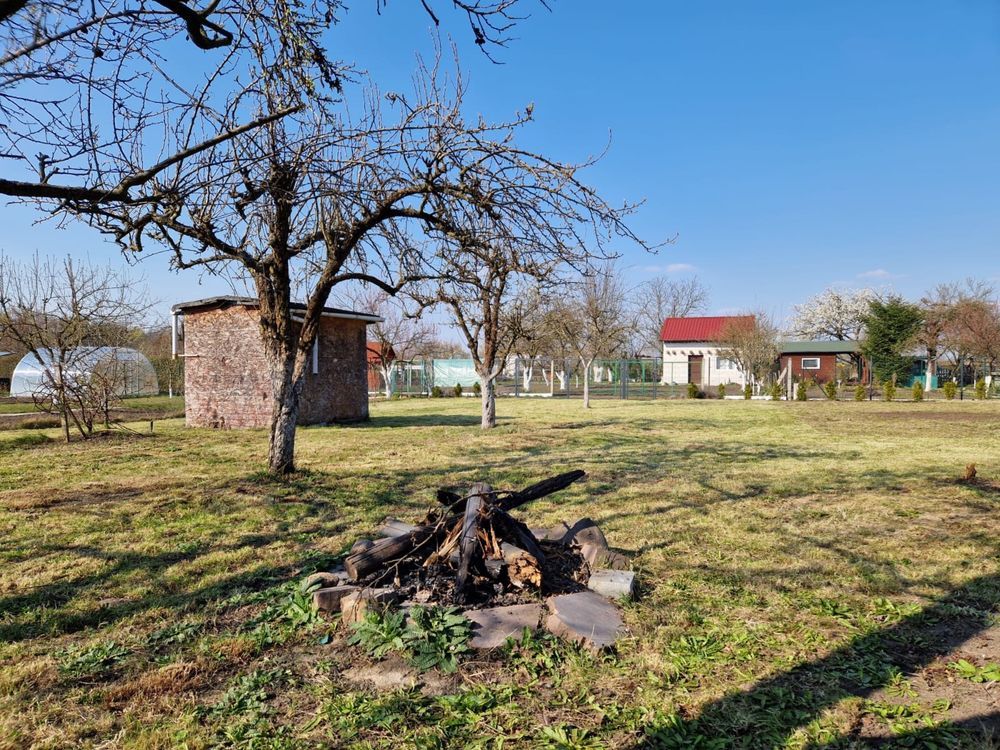 Działka rod Szlichtyngowa, ul. Daszyńskiego. Zdjęcie 6