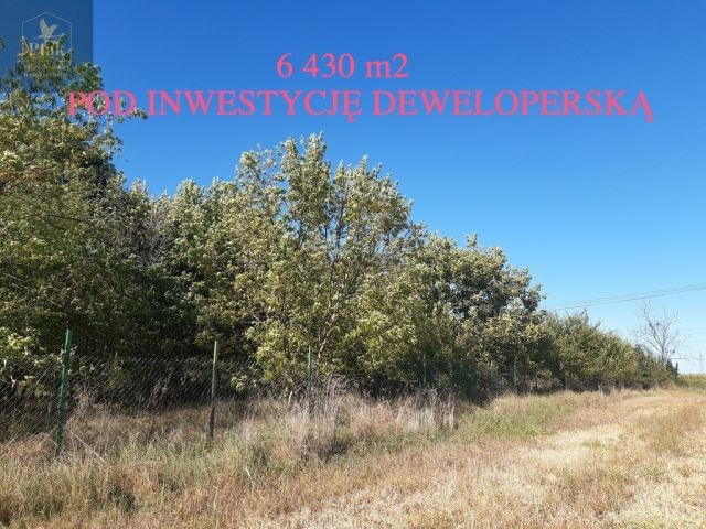 Działka budowlana Kruszyn. Zdjęcie 4