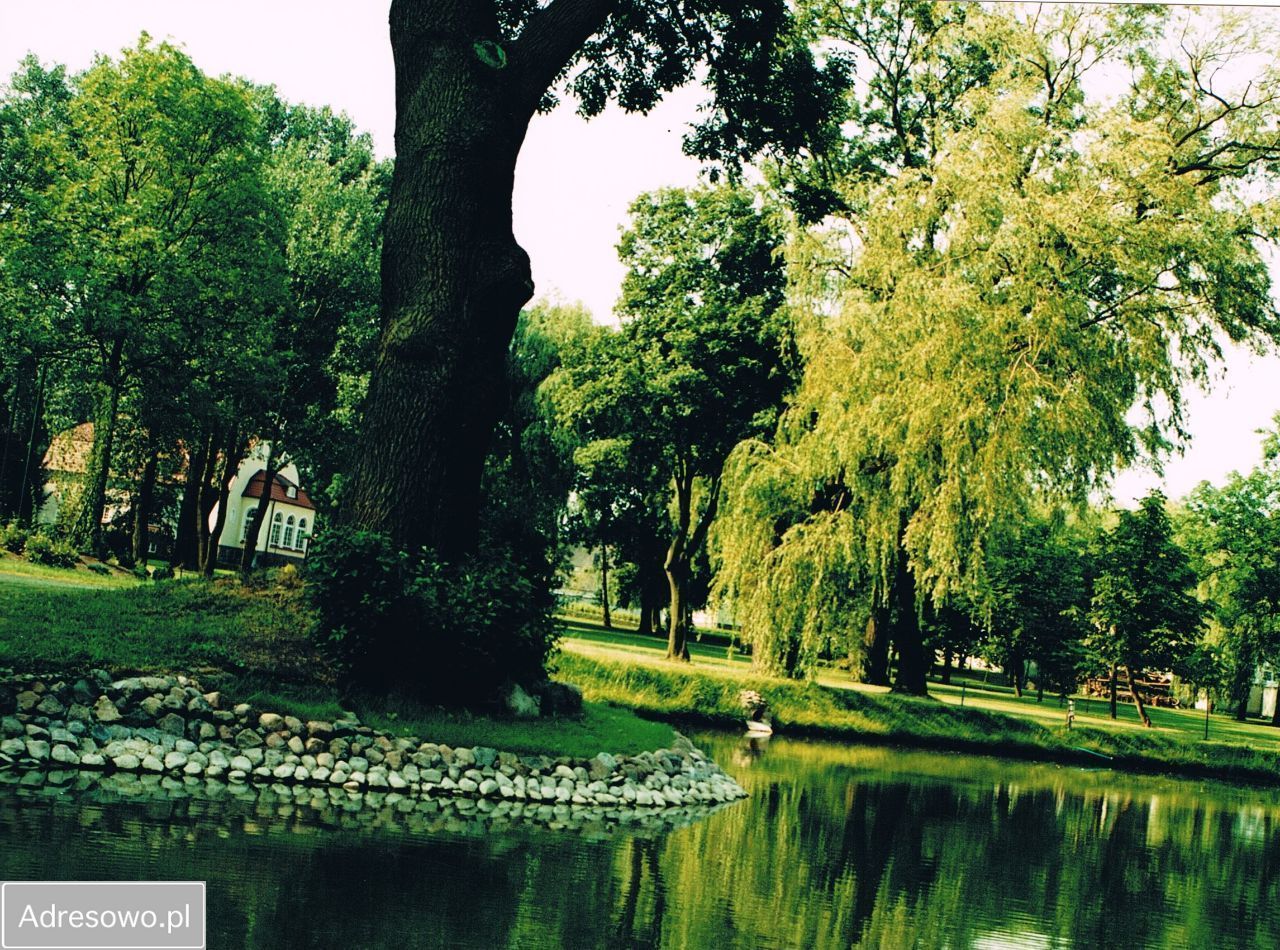 Lokal Chaławy. Zdjęcie 2