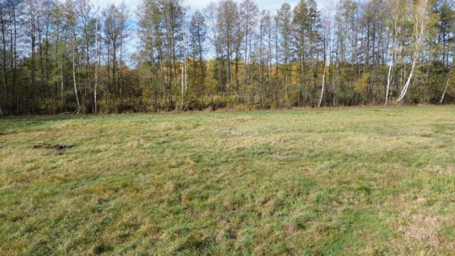 Działka budowlana Biały Ług. Zdjęcie 6