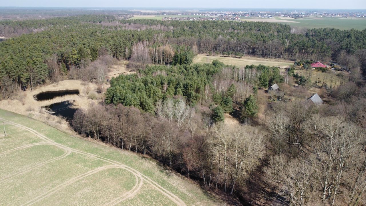 Działka rolna Gorzycko. Zdjęcie 5