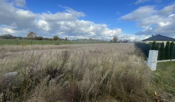 Działka rolno-budowlana Drążdżewo, brak