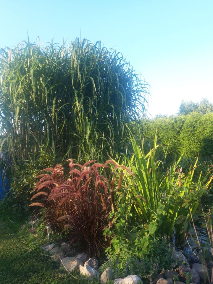 dom wolnostojący, 6 pokoi Strzelce Opolskie Mokre Łany, ul. Wawrzyńca Świerzego. Zdjęcie 19